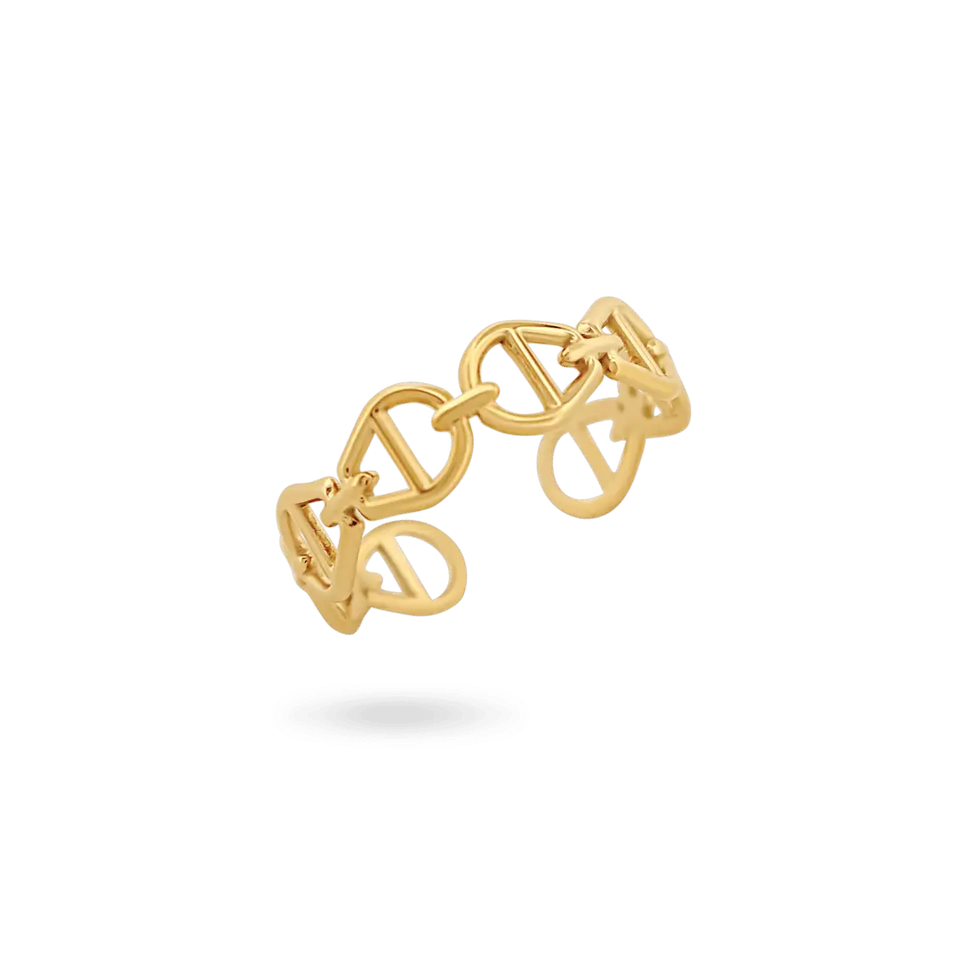 ‘Rae’ Adjustable Link Ring Rings IceLink-JUS