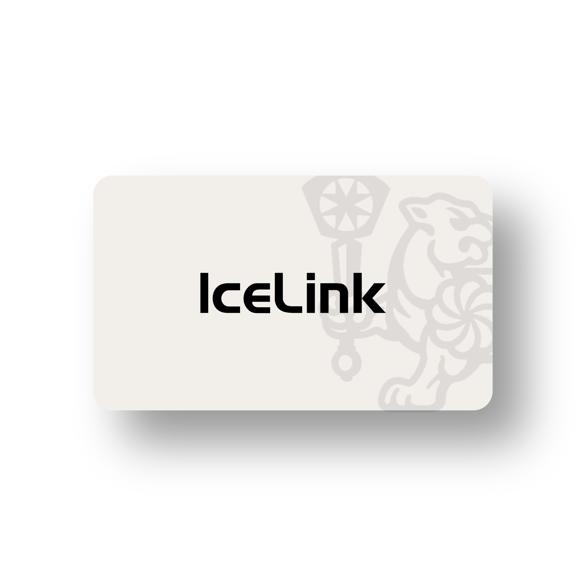 $40 and Under - IceLink