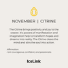 GIFT NOTE CARD Accessories IceLink November (Citrine CZ)  